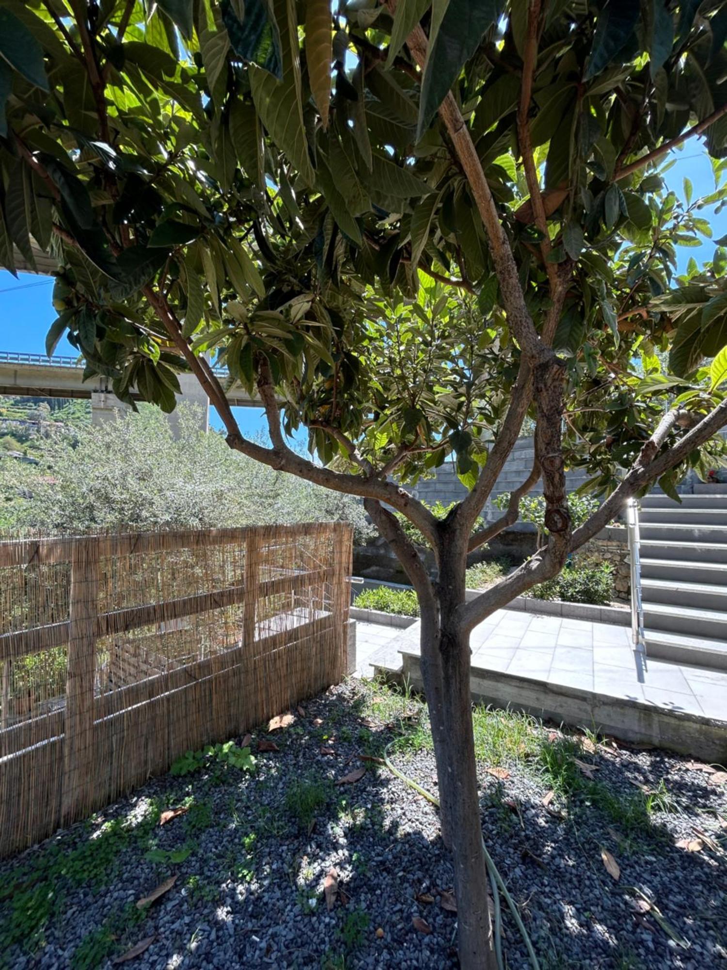 Taormina Stone Home Екстериор снимка